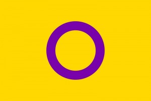 Intersex rights flag