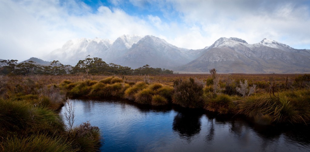 On Tasmanian queerness, and (not) going to the mainland