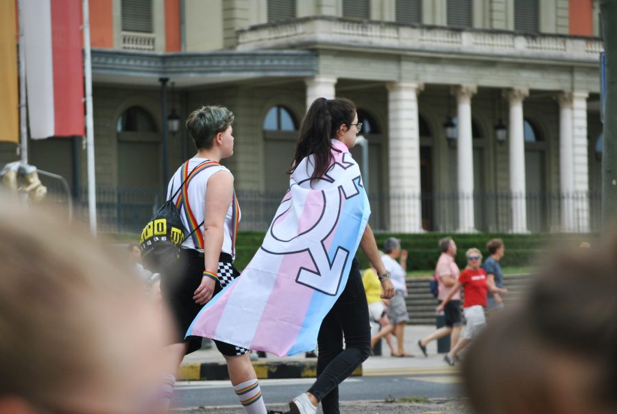 Two young people are walking with their backs to the camera. One is wearing a white vest with rainbow suspenders. The other wears a transgender pride flag, featuring a genderfluid symbol, like a cape.
