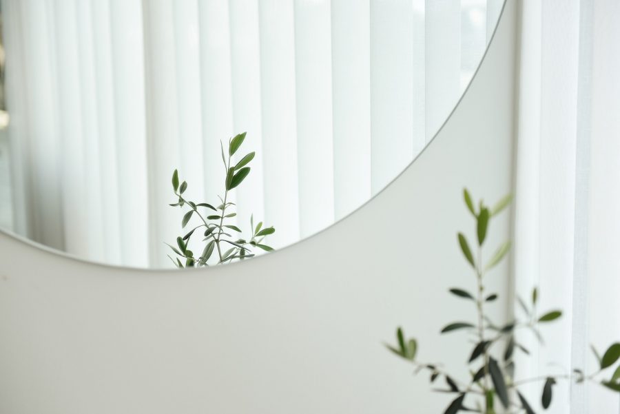 Mirror on wall with a plant in front of it