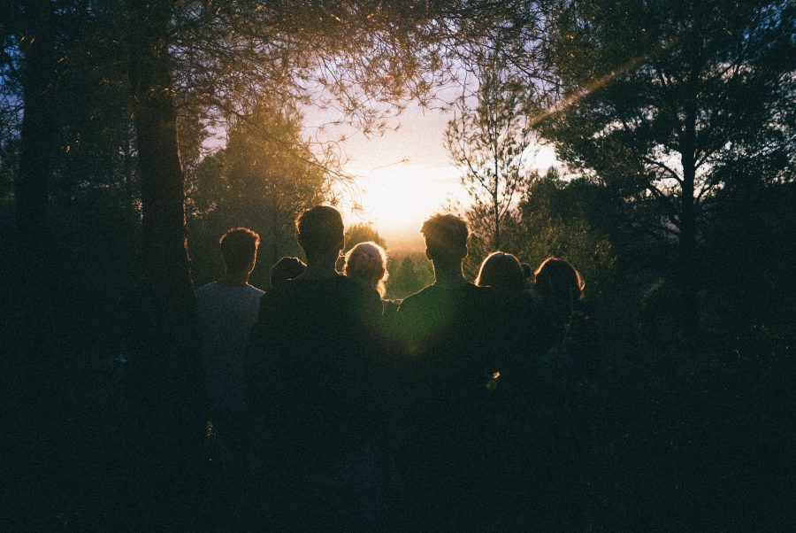 A group of people stand together, surrounded by trees. They are all silhouetted, looking out towards a clearing that is bathed in bright sunlight.