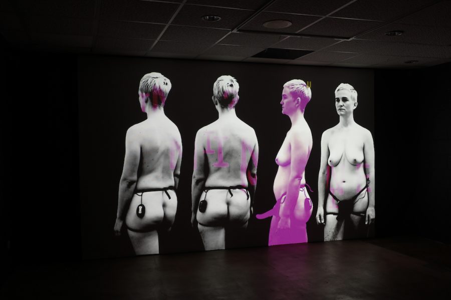 There are four images of the same person projecting on a wall in a large dark space. The person is shot at different angles, they are naked with short hair and wearing a harness around their waist.