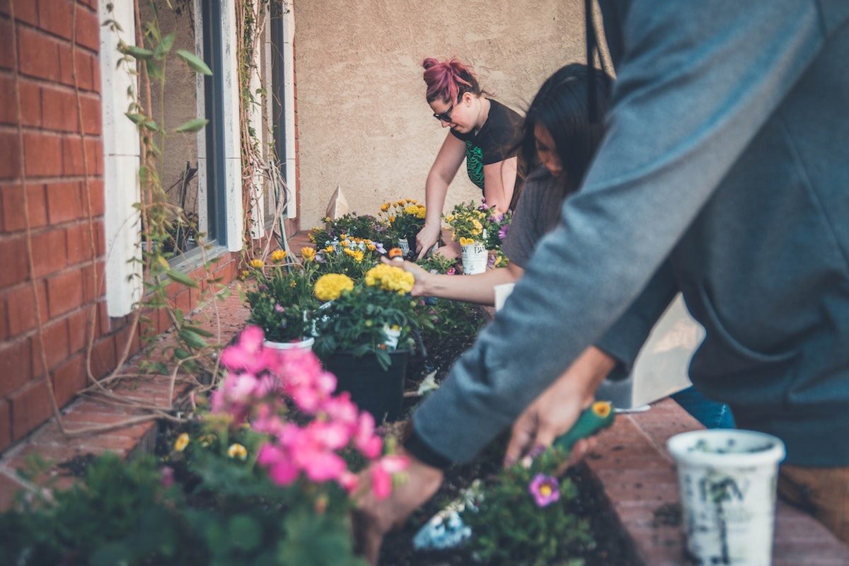 Plants, queerness and mental health: The joy of growth