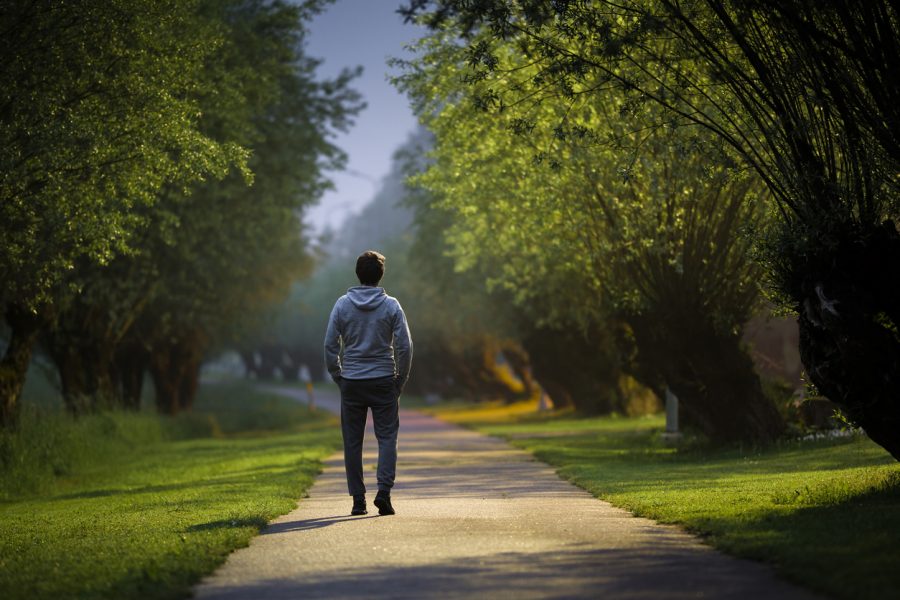 A young man walks through an alley of trees at dusk on a warm summer night.