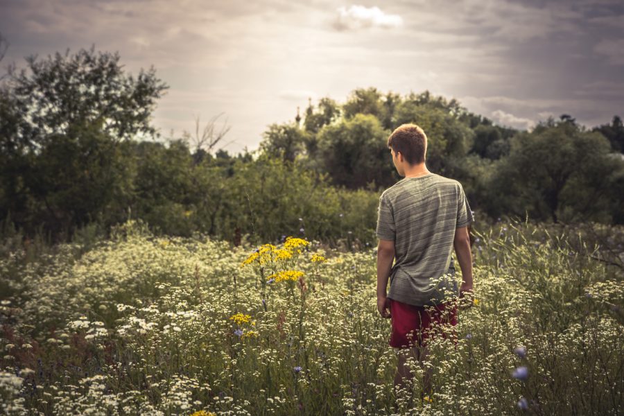 A solitary young man in a t-shirt and shorts stands in a meadow filled with yellow and white flowers.