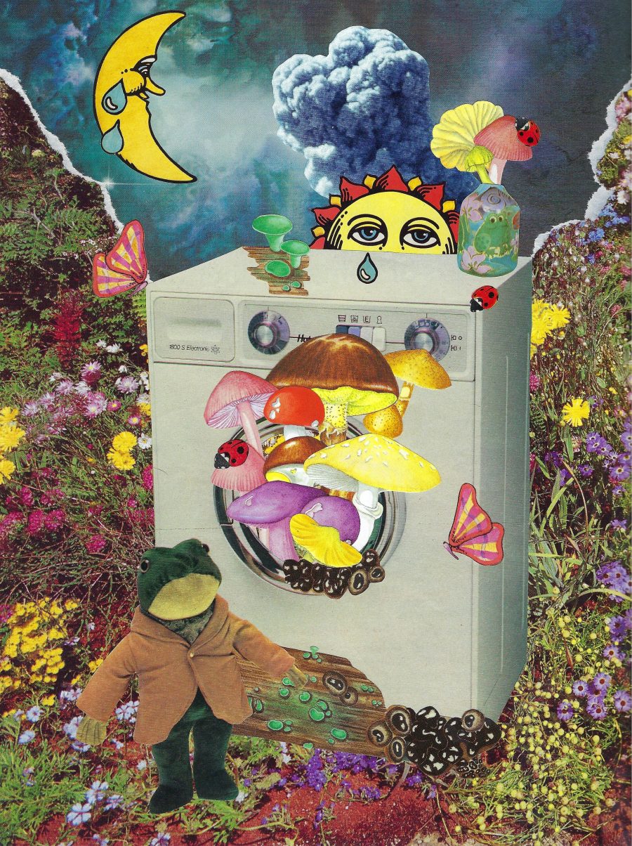 A plush frog in a forest next to a washing machine full of mushrooms. Above them, the sky has ripped open with smoke clouds and the sun and moon are crying.