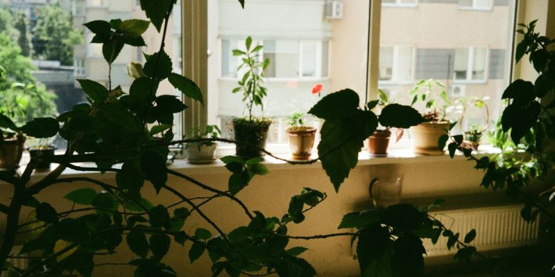 Vaginismus flare-ups: Patterns of pain, patience and pleasure