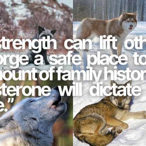 Becoming a werewolf on testosterone: Hangry, hairy and horny