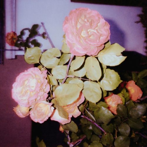 Chosen names, affect and identity: A rose by any other name