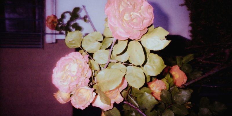 Chosen names, affect and identity: A rose by any other name