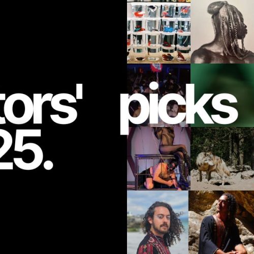 Trans mythology, sissification and cruising: Our editors’ top picks for 2025