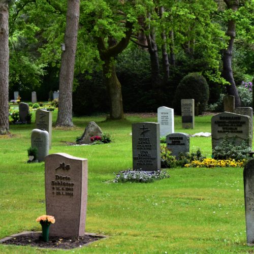 Mortality, ageing and accepting death